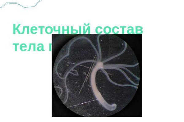 Кракен не работает сегодня