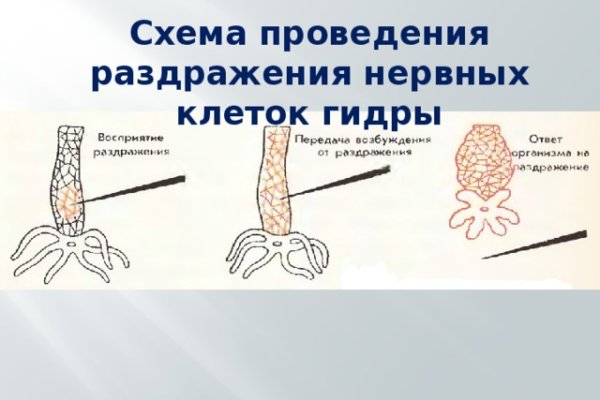 Kra39.cc