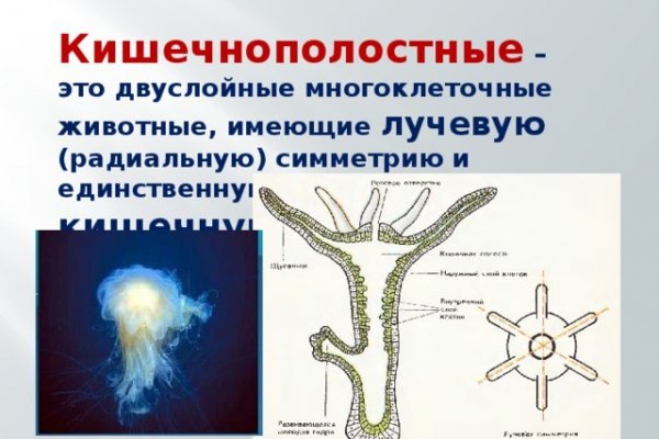 Почему не получается зайти на кракен