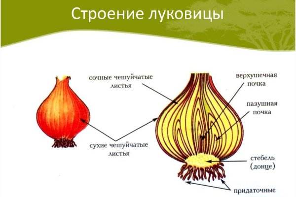 Кракен сайт kr2web